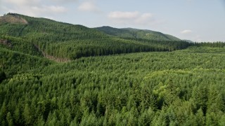 AX48_058 - 5K aerial stock footage of flying over evergreen forest to reveal the South Fork Tolt Reservoir, Cascade Range, Washington