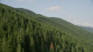 5K aerial stock footage of flying by mountain slopes covered with evergreen trees in the Cascade Range, Washington Aerial Stock Footage | AX48_060