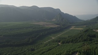 5K aerial stock footage flyby a forest road through newer forest growth area near the Cascade Range, King County, Washington Aerial Stock Footage | AX48_067