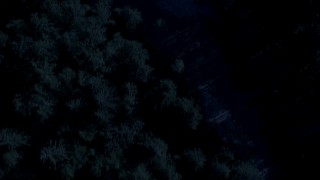 4K day for night color corrected aerial stock footage of a bird's eye view of a river and evergreen trees in King County, Washington Aerial Stock Footage | AX48_071_DFN