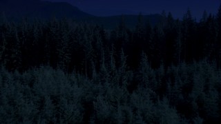 4K day for night color corrected aerial stock footage of flying low over an evergreen forest, King County, Washington Aerial Stock Footage | AX48_073_DFN