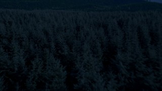 4K day for night color corrected aerial stock footage of of flying low over evergreen trees, King County, Washington Aerial Stock Footage | AX48_074_DFN