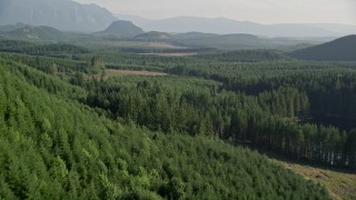 5K aerial stock footage fly over dense evergreen forest with a few clear cut logging areas in King County, Washington Aerial Stock Footage | AX48_079