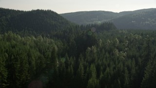 5K aerial stock footage fly over forest to approach wooded hills in King County, Washington Aerial Stock Footage | AX48_080E