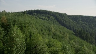 5K aerial stock footage fly over and pan across evergreen forest on a mountain ridge in the Cascade Range, Washington Aerial Stock Footage | AX48_084