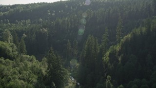 5K aerial stock footage of evergreen forest at the base of a mountain in the Cascade Range, Washington Aerial Stock Footage | AX48_085E