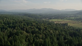 AX49_015E - 5K aerial stock footage of flying by evergreen forest to reveal farm fields, Carnation, Washington