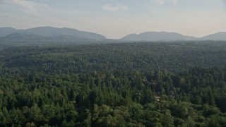 5K aerial stock footage fly by a wide expanse of evergreen forests, King County, Washington Aerial Stock Footage | AX49_023E