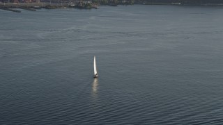 5K aerial stock footage of tracking a sailboat on Elliott Bay, Seattle, Washington Aerial Stock Footage | AX49_092