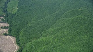 5K aerial stock footage of reverse view of evergreen forests, and reveal a clear cut area, Thurston County, Washington Aerial Stock Footage | AX52_011E