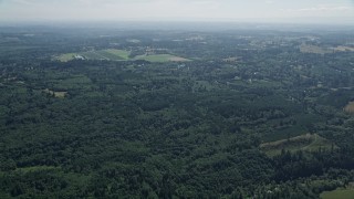 5K aerial stock footage fly over evergreen forest to approach farm fields in La Center, Washington Aerial Stock Footage | AX52_069