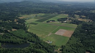 5K aerial stock footage of farms and farm fields surrounded by trees, La Center, Washington Aerial Stock Footage | AX52_070