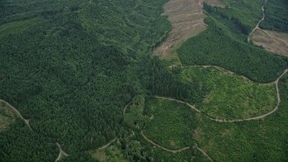 AX56_024 - 5K aerial stock footage of dirt roads through evergreen forest and clear cut areas in Washington County, Oregon