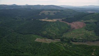 5K aerial stock footage of large logging areas in evergreen forest in Washington County, Oregon Aerial Stock Footage | AX56_025E