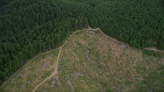 AX56_029E - 5K aerial stock footage of bird's eye of dirt roads through evergreen forest and logging areas in Washington County, Oregon