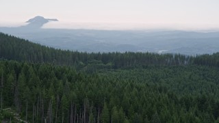 5K aerial stock footage fly over a line of evergreens to approach distant forest in Clatsop County, Oregon Aerial Stock Footage | AX56_033E