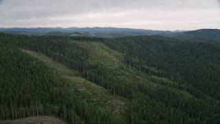 5K aerial stock footage of hillside logging areas with new growth and evergreen forest in Clatsop County, Oregon Aerial Stock Footage | AX56_036