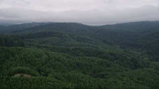 5K aerial stock footage fly over evergreen forest on hills in Clatsop County, Oregon Aerial Stock Footage | AX56_042E