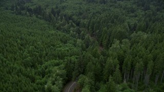 AX56_048 - 5K aerial stock footage flyby State Route 202 through forest, Clatsop County, Oregon