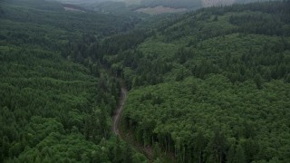 5K aerial stock footage fly over State Route 202 through evergreen forest, Clatsop County, Oregon Aerial Stock Footage | AX56_049E