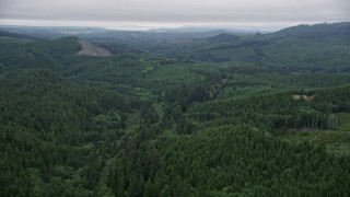 AX56_055E - 5K aerial stock footage fly over clear cut area with new growth near evergreen trees in Clatsop County, Oregon