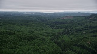 5K aerial stock footage of a wide expanse of evergreen forest in Clatsop County, Oregon Aerial Stock Footage | AX56_058E