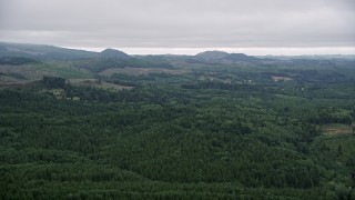 5K aerial stock footage of evergreen forest and clear cut areas in the hills in Clatsop County, Oregon Aerial Stock Footage | AX56_061