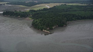 5K aerial stock footage of evergreen forest and wetlands on the shore of Willapa Bay, Nemah, Washington Aerial Stock Footage | AX56_155