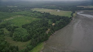 5K aerial stock footage of evergreen forest by wetlands on the shore of Willapa Bay, Nemah, Washington Aerial Stock Footage | AX56_156