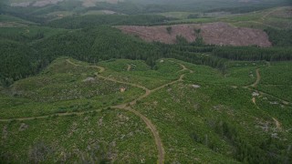 AX56_158E - 5K aerial stock footage tilt to a bird's eye view of evergreen trees beside a logging area in Pacific County, Washington