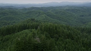 5K aerial stock footage fly over forest-covered hill to approach more hills in the background in Satsop, Washington Aerial Stock Footage | AX57_003