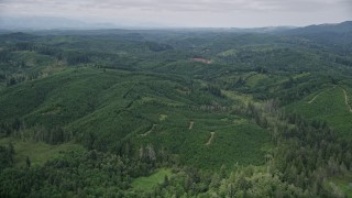 5K aerial stock footage of an expanse of evergreen forest in Grays Harbor County, Washington Aerial Stock Footage | AX57_021