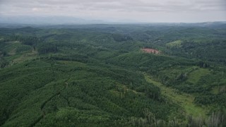 5K aerial stock footage of lush evergreen forest in Grays Harbor County, Washington Aerial Stock Footage | AX57_022