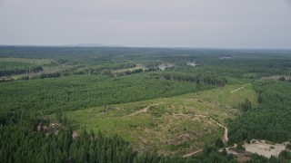 AX58_004 - 5K aerial stock footage of dirt roads through a logging area by evergreen forest and Cranberry Lake, Shelton, Washington