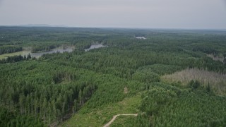 5K aerial stock footage fly over evergreen forest by Cranberry Lake, Shelton, Washington Aerial Stock Footage | AX58_005