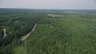 AX58_009 - 5K aerial stock footage fly over evergreens near homes by East Mason Lake Road, Shelton, Washington