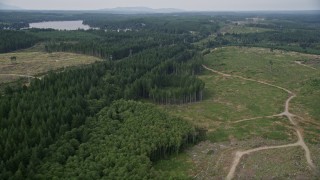 5K aerial stock footage tilt from railroad tracks through trees to dirt roads through a logging area in Grapeview, Washington Aerial Stock Footage | AX58_012