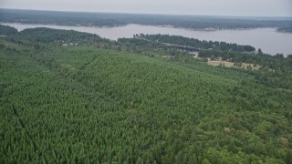 5K aerial stock footage of Treasure Island Road bridge connecting Grapeview, Washington to Reach Island Aerial Stock Footage | AX58_020E