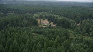 5K aerial stock footage of following Wright Bliss Road through Gig Harbor, Washington, and over evergreen forest Aerial Stock Footage | AX58_029E