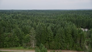 AX58_033E - 5K aerial stock footage follow road and power lines through forest past rural homes in Gig Harbor, Washington