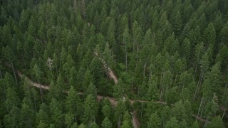 5K aerial stock footage of flying over country roads through a forest, Gig Harbor, Washington Aerial Stock Footage | AX58_040