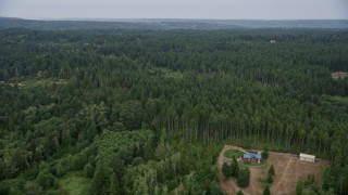 5K aerial stock footage fly over evergreen forest and reveal rural homes in Olalla, Washington Aerial Stock Footage | AX58_048E