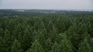 AX58_058E - 5K aerial stock footage fly over livestock in a pasture to approach small farms on Vashon Island, Washington