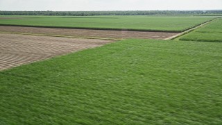 5K aerial stock footage flyby sugar cane fields and harvested fields in Vacherie, Louisiana Aerial Stock Footage | AX60_052