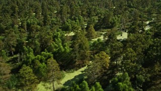 AX60_079 - 5K aerial stock footage of flying by a swamp in St. John the Baptist Parish, Louisiana