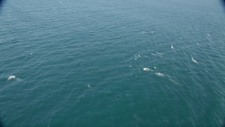 4.8K aerial stock footage of flying over calm waters of the Pacific Ocean Aerial Stock Footage | AX68_087