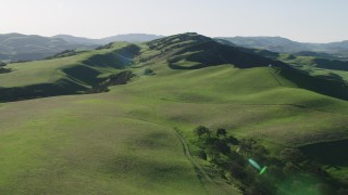 4K aerial stock footage Flying over hills and trees in Hollister, California Aerial Stock Footage | AX70_119