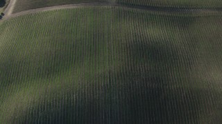 AX70_133 - 4K aerial stock footage Bird's eye of vineyards in Paicines, California