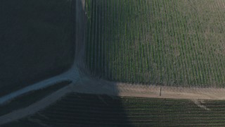 4K aerial stock footage A bird's eye view of roads and vineyards in Paicines, California Aerial Stock Footage | AX70_135