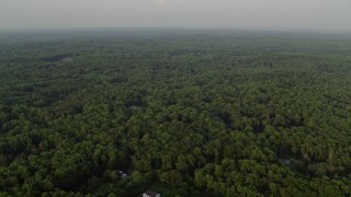 4.8K aerial stock footage flying over dense green forest hiding rural homes, Clifton, Virginia, sunset Aerial Stock Footage | AX76_011E